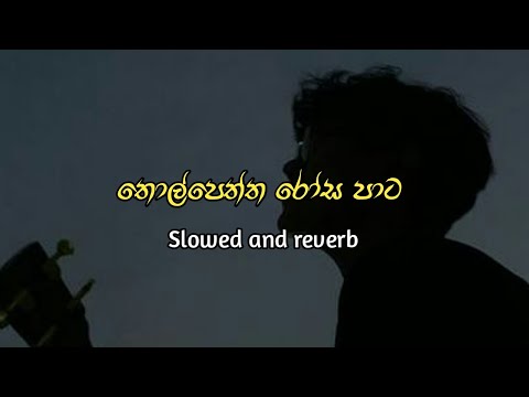 Thol Peththa Rosa Pata (Slowed+Reverb) ||@Anumusic-kc9fw