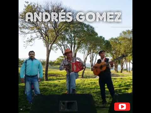 Dátil Cora - Andrés Gómez