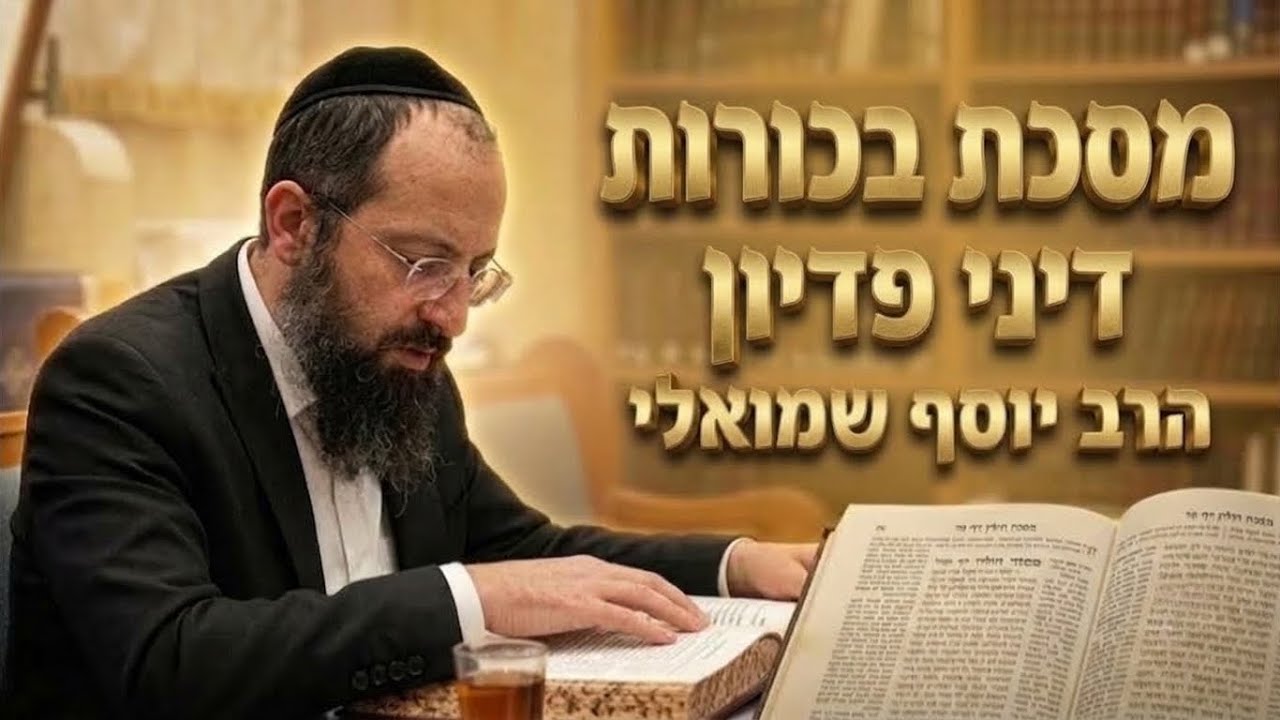 הרב יוסף שמואלי • מסכת בכורות דף יא ע"א: דיני פדיון פטר חמור