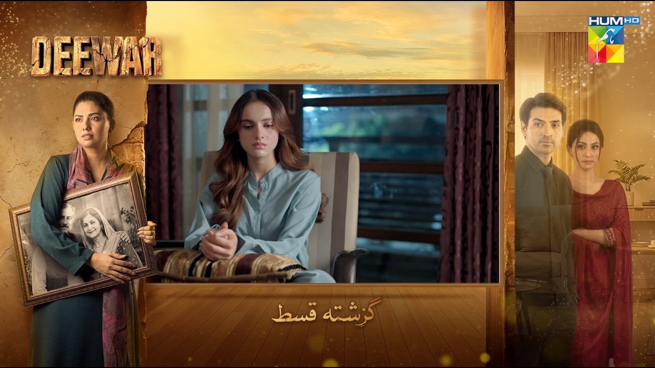 Deewar - Recap Episode 10 - [ Sunita Marshall & Ali Abbas ] HUM TV
