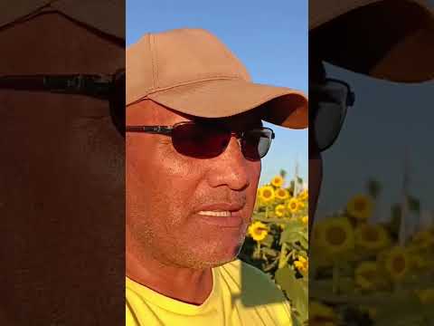 #EuroGarden Maringá Paraná.