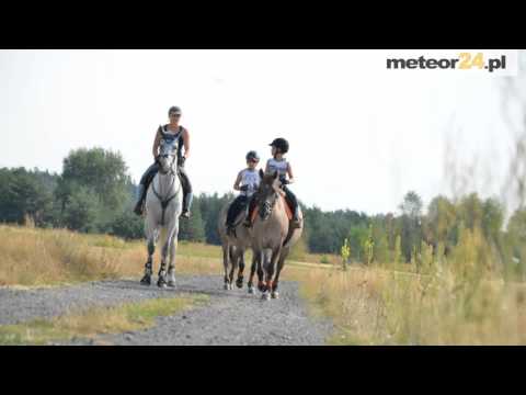 Agroturystyka Podsiadłowo - Kucoby meteor24.pl