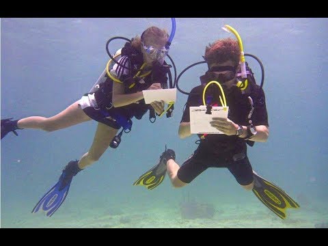 GoEco VOLUNTEER Trip Vlog – DIVING & MARINE CONSERVATION in Belize