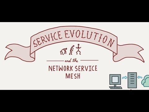 Service Evolution and the Network Service Mesh in three minutes