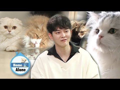 Kyun Sang "'It means Ttomi made my heart flutter again" [Home Alone Ep 284]