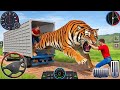 Animal Cargo Truck Driving Game 3D Animal Transport Cargo Truck 2024 Android Gameplay