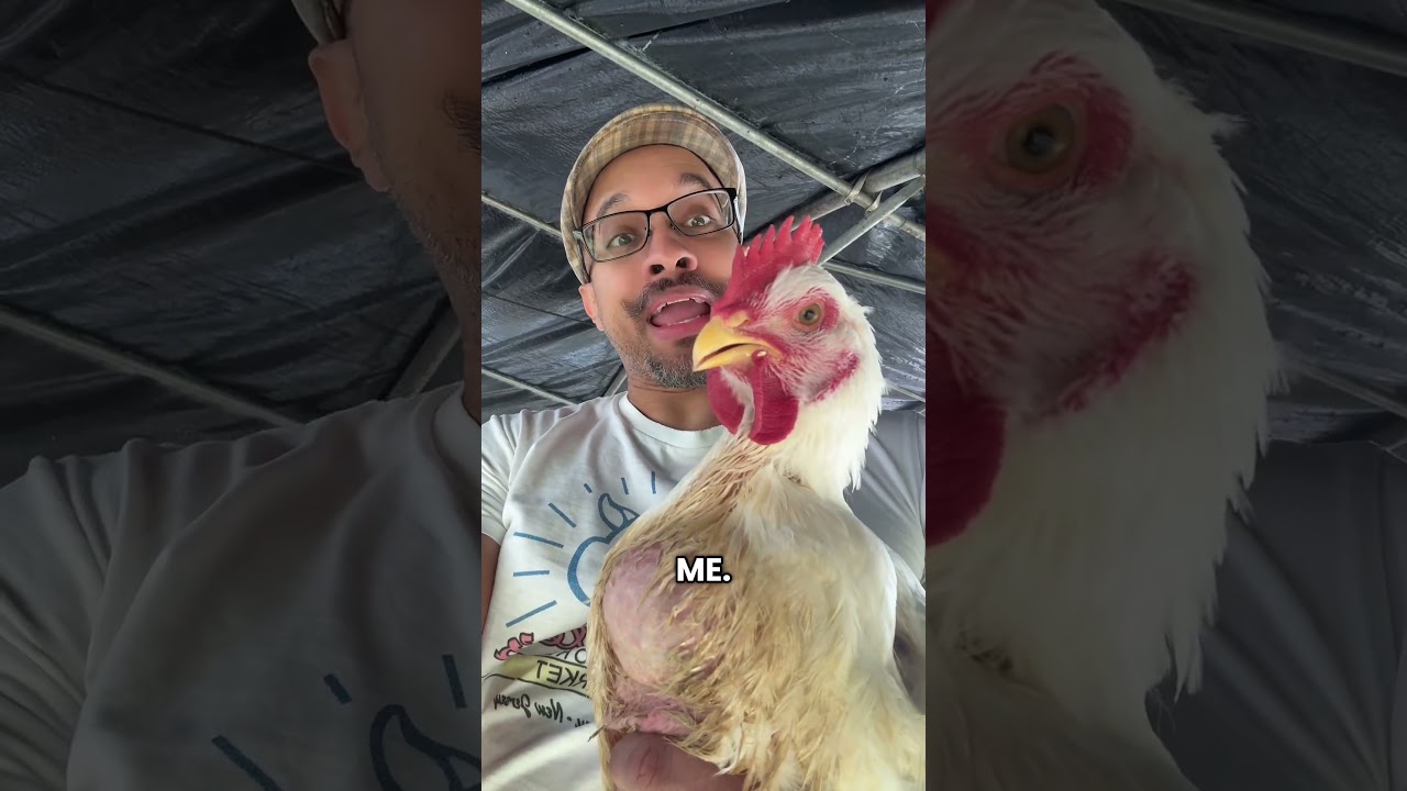 Woody chicken breast