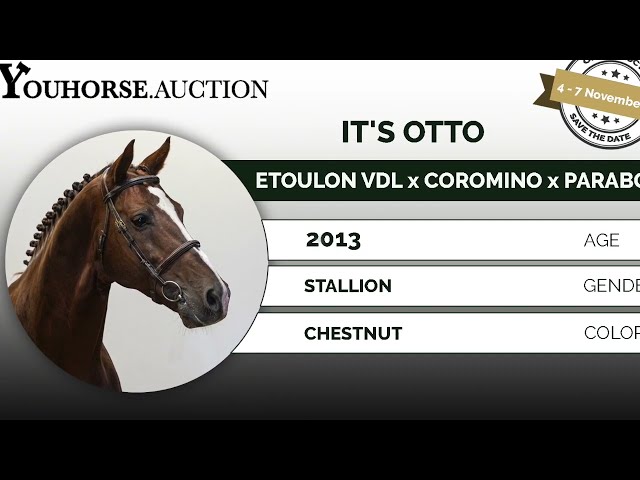 Offspring It's Otto (It's Otto x Emerald 6yo)