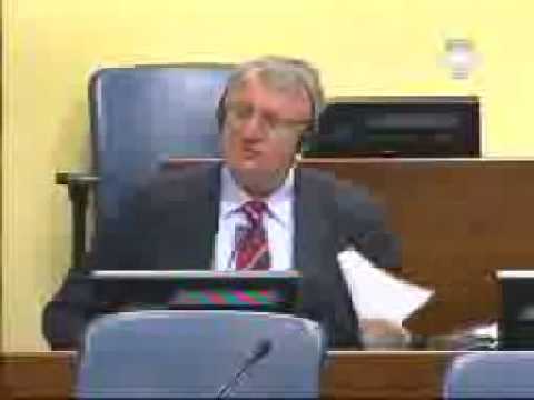 Šešelj - Falsifikat: kukavičje jaje (deo 2/2)