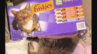 Jim Ed Brown - In Memory