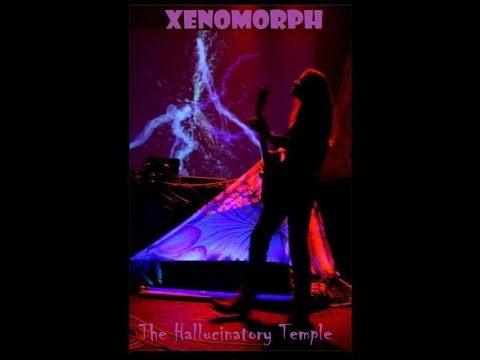 Xenomorph - The Hallucinatory Temple [Psy-Trance Mix 2006] ᴴᴰ