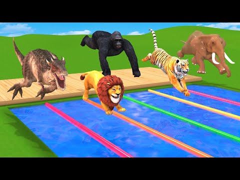 Animals Swimming Pool Race with Elephant, Mammoth, Gorilla, Tiger, Lion, Zoo - Funny Animals Doodles
