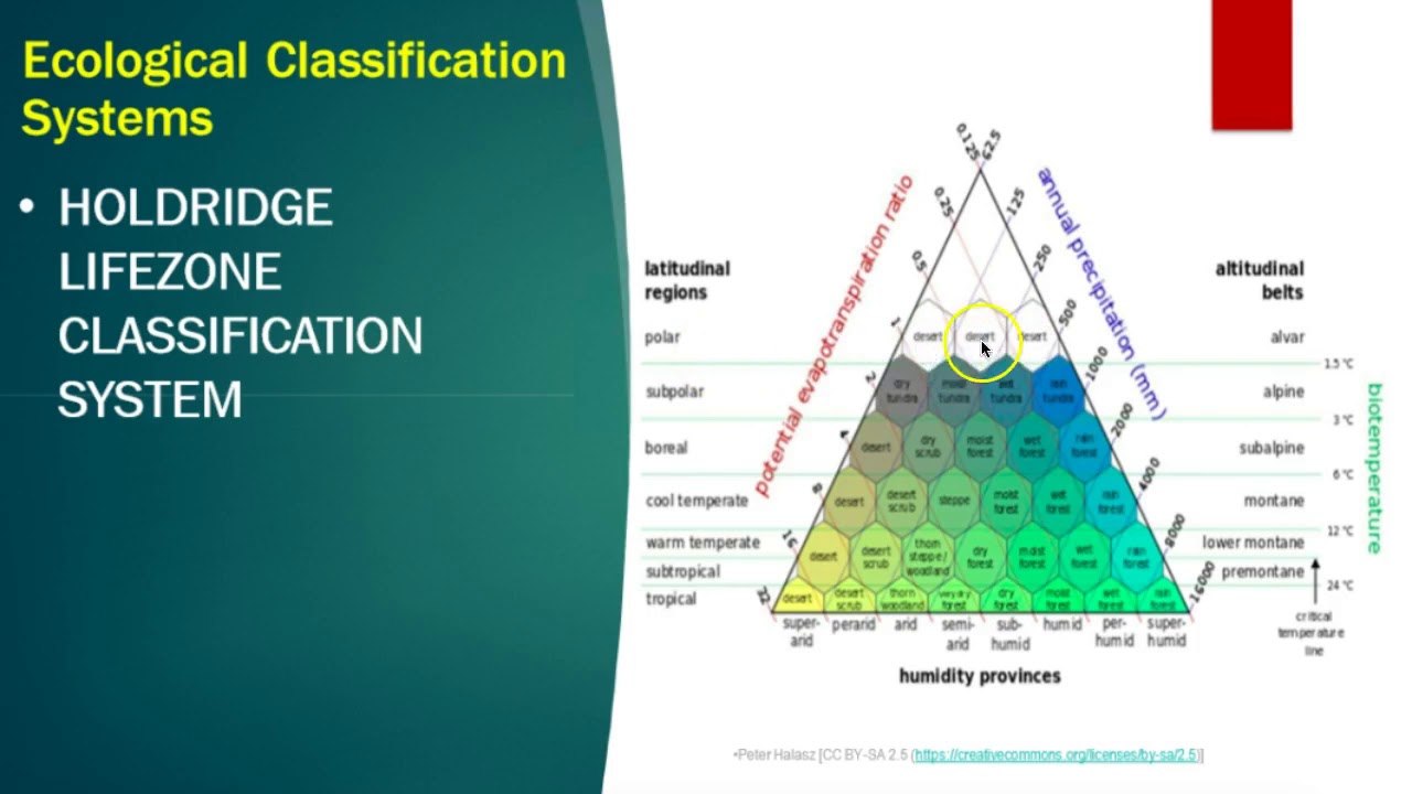 Ecosystem Classification - YouTube