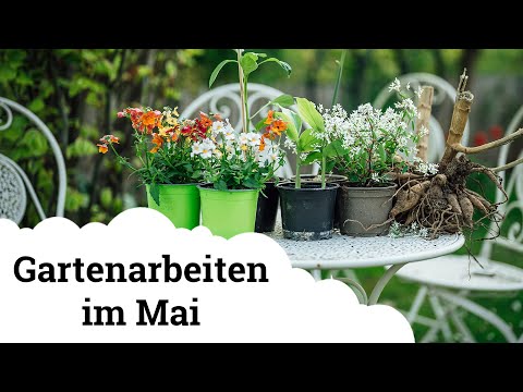 Jede Menge Gartenarbeiten im Mai + frühlingshafte Gartenimpressionen! 🤭😍