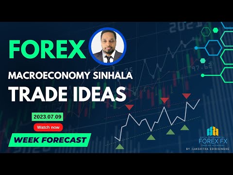 forex fundamental analysis | Macroeconomy weekly market update in Sinhala