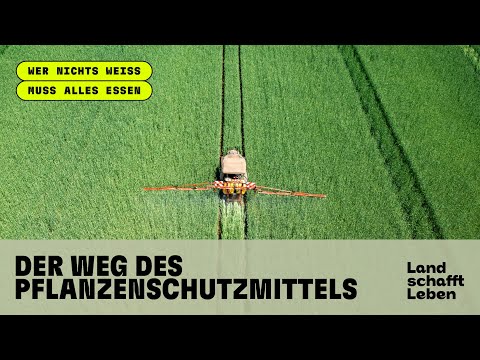 Der Weg des Pflanzenschutzmittels