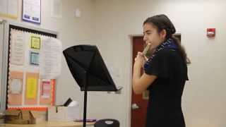 Scherzino flute solo by Andersen