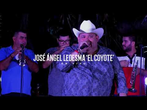 La Novia Del Pajarillo - El Coyote y su Banda Tierra Santa ( En Vivo )