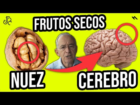 LOS FRUTOS SECOS MÁS SALUDABLES - Oswaldo Restrepo RSC