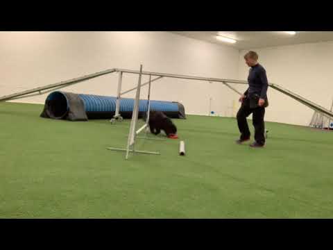 Bravo 2019.11.02 Satspkt m bump