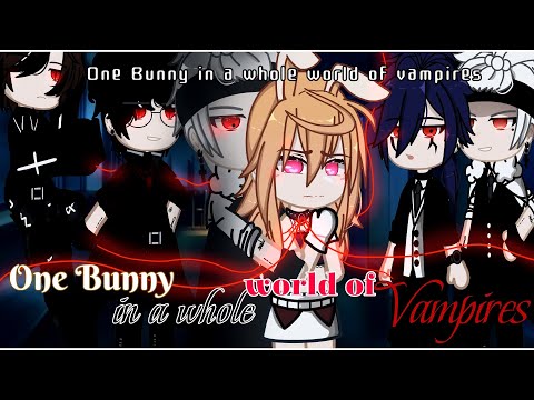 One Bunny In A Whole World Of Vampires | GCMM/GCM | -Bad grammar