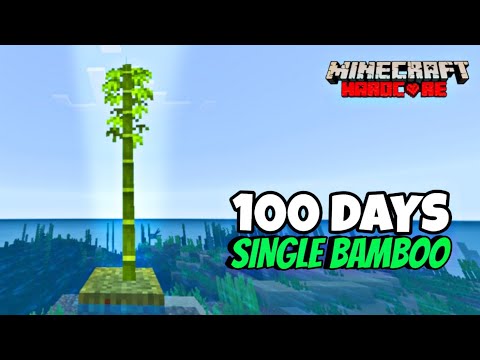 I survived 100 Days on a Single Bamboo🎍 in Minecraft Hardcore