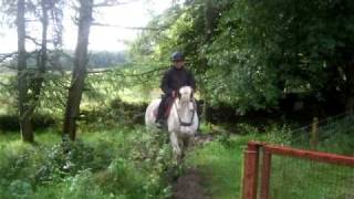 preview picture of video 'HermannOnBrownie Ireland 2009.avi'