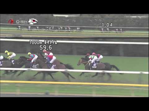 2014 日本盃 Japan Cup 神威啟示 Epiphaneia エピファネイア