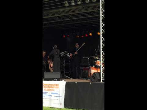 Henrik HeartBASS Trio feat. Dian Pratiwi 2014