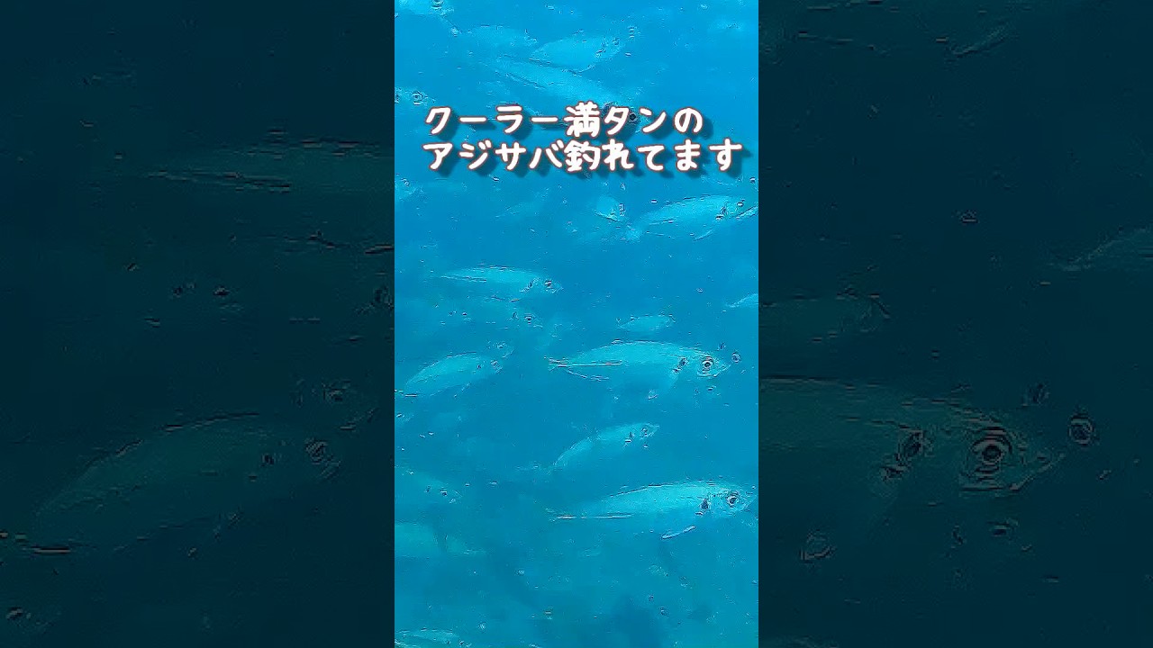 すごい海釣り公園！