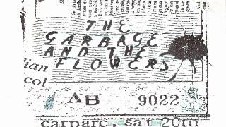29 Years by The Garbage & the Flowers
