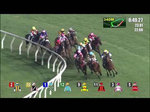 8/12/2021 (239) Flying Ace - Matthew Poon