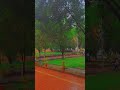 Kesariya Whatsapp Status Kesariya Whatsapp Status Video Kesariya Tera Ishq Hai Piya Shorts