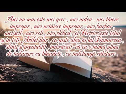 Îmbrăcat într-o haină nouă 😇