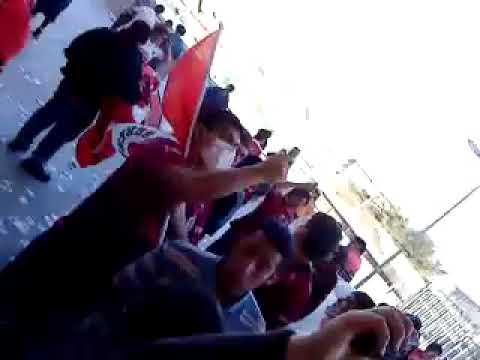 "Porque será que yo soy Papayero" Barra: Los Papayeros &bull; Club: Deportes La Serena