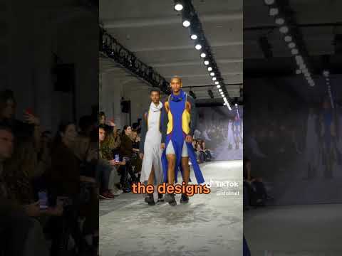 The designer vs the design