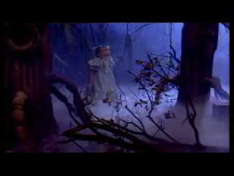 Kinderen voor Kinderen 7 - Spinnen