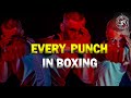 Perfect Technique For ALL Punches Boxing Masterclass