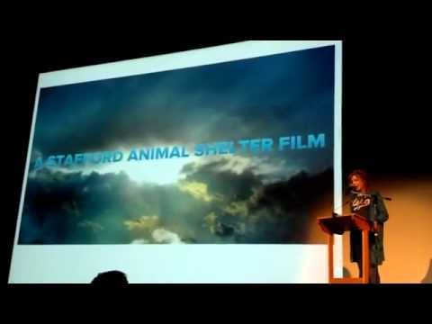 Nai'a LeDain at Pecha Kucha Stafford Animal Shelter video presentation