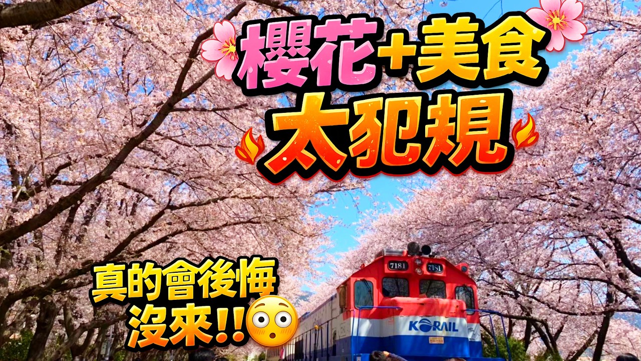 韓國櫻花真的美到不像真的🌸 首爾釜山賞櫻＋美食自由行全攻略！Korea’s cherry blossoms look unreal 🌸 Seoul + Busan + food