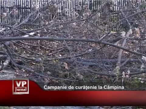 Campanie de curăţenie la Câmpina