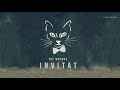 The Motans - Invitat | Official Audio The Motans - Invitat | Official Audio