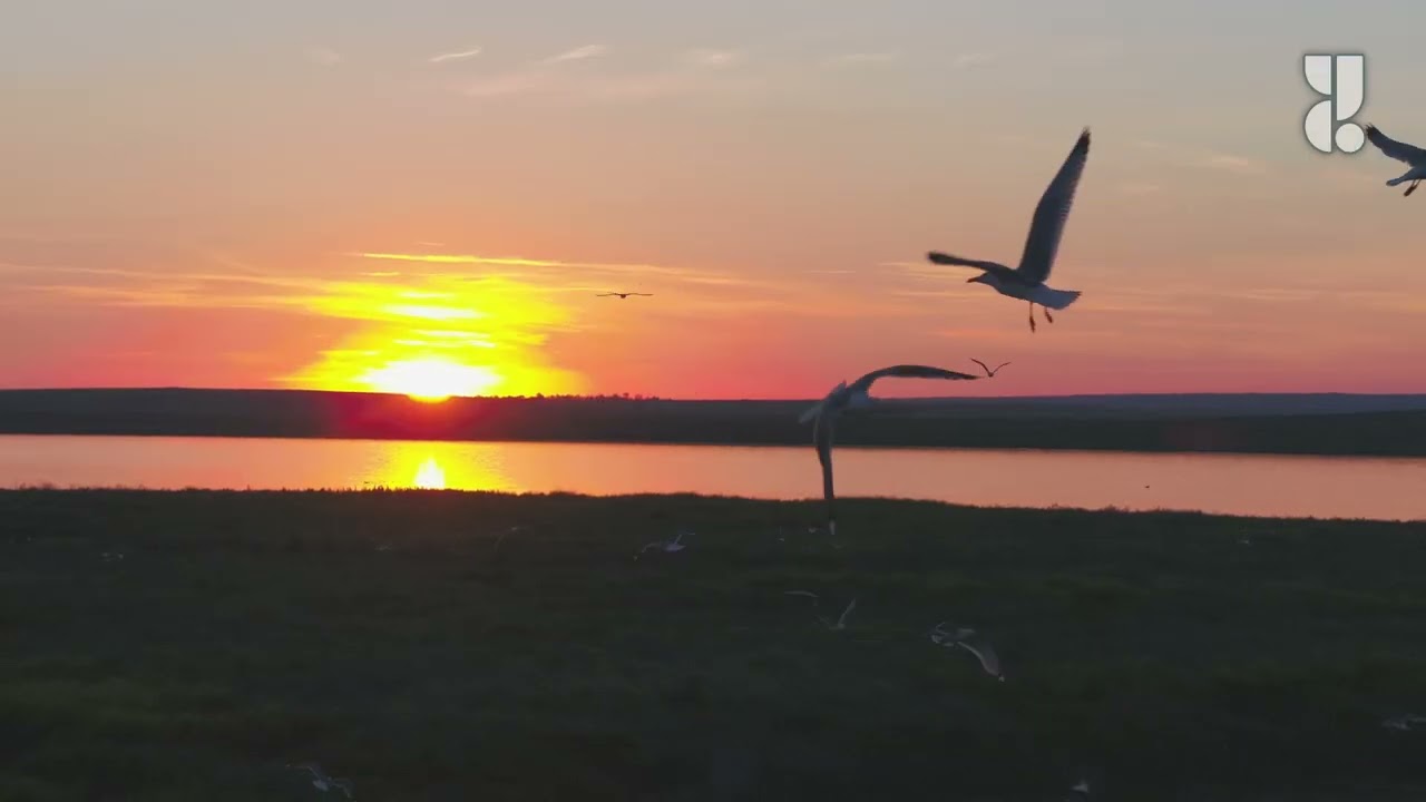 Mindful Moment: Evening Meditation Music