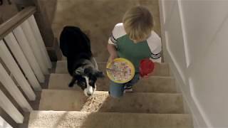 The Home Depot: LifeProof Carpet