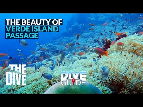 A beleza da passagem da Ilha Verde #TheDivePH