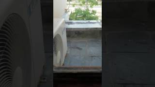 Download lagu Bangun tidur, ngintip jalanan dulu :) 26022017 mp3