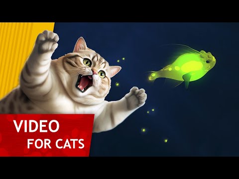 Cat Games - Get that Magic Fish (Spectacular Video for Cats to watch) 4K - YouTube