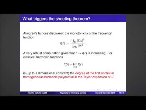 Camillo De Lellis: The size of singularities of minimal surfaces I