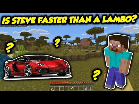 Which Is Faster, Steve Or A Lamborghini? Video