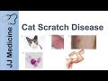 Cat Scratch Disease Causes Symptoms And Treatment
